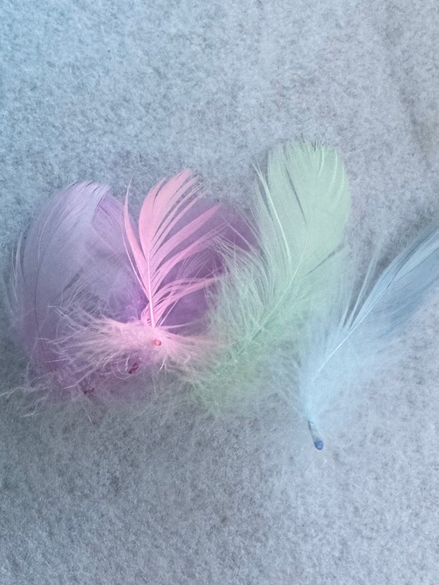 Pastel feathers 3inch