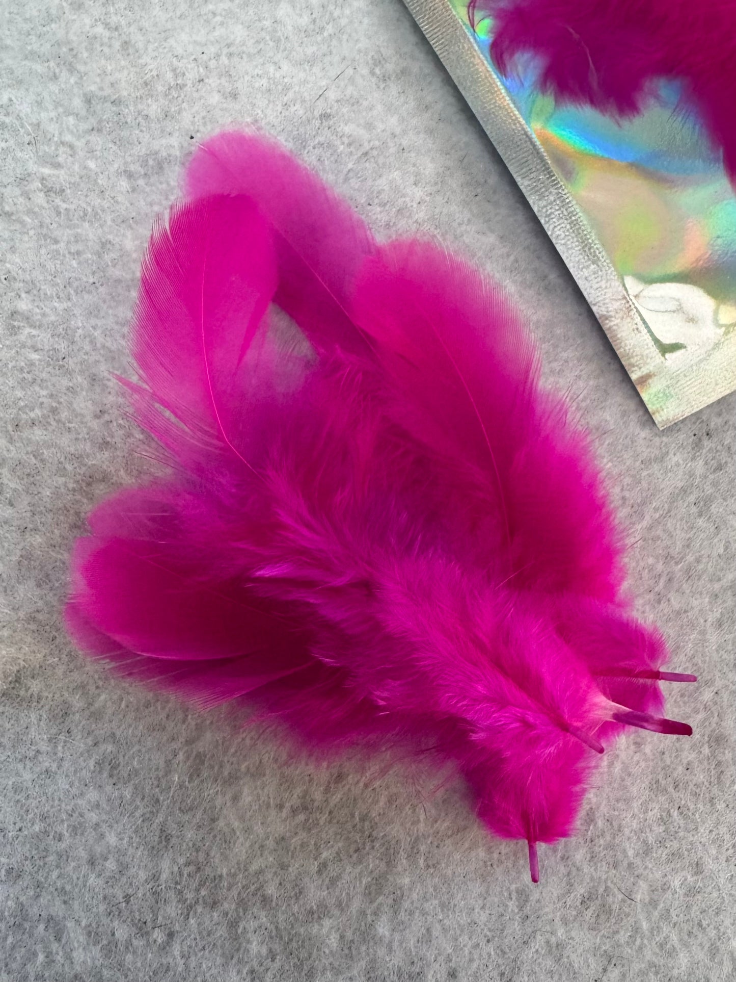 Fancy vibrant feathers
