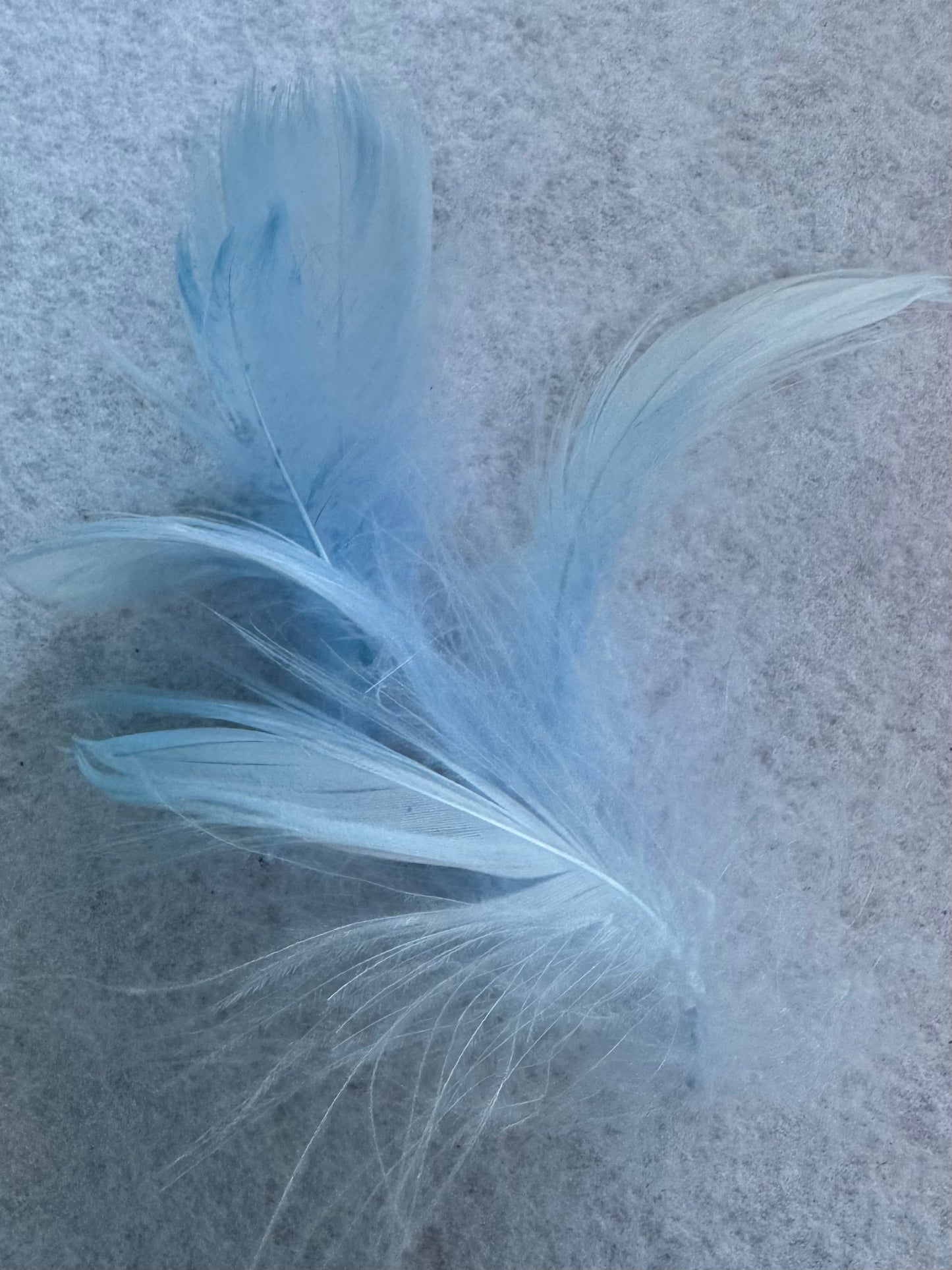 Pastel feathers 3inch