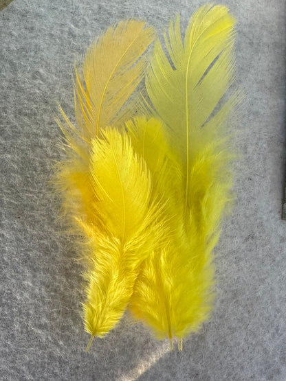 Fancy vibrant feathers