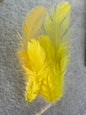 Fancy vibrant feathers