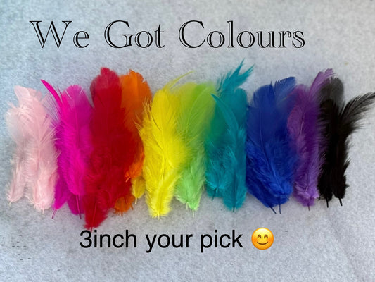 Fancy vibrant feathers