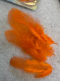 Fancy vibrant feathers