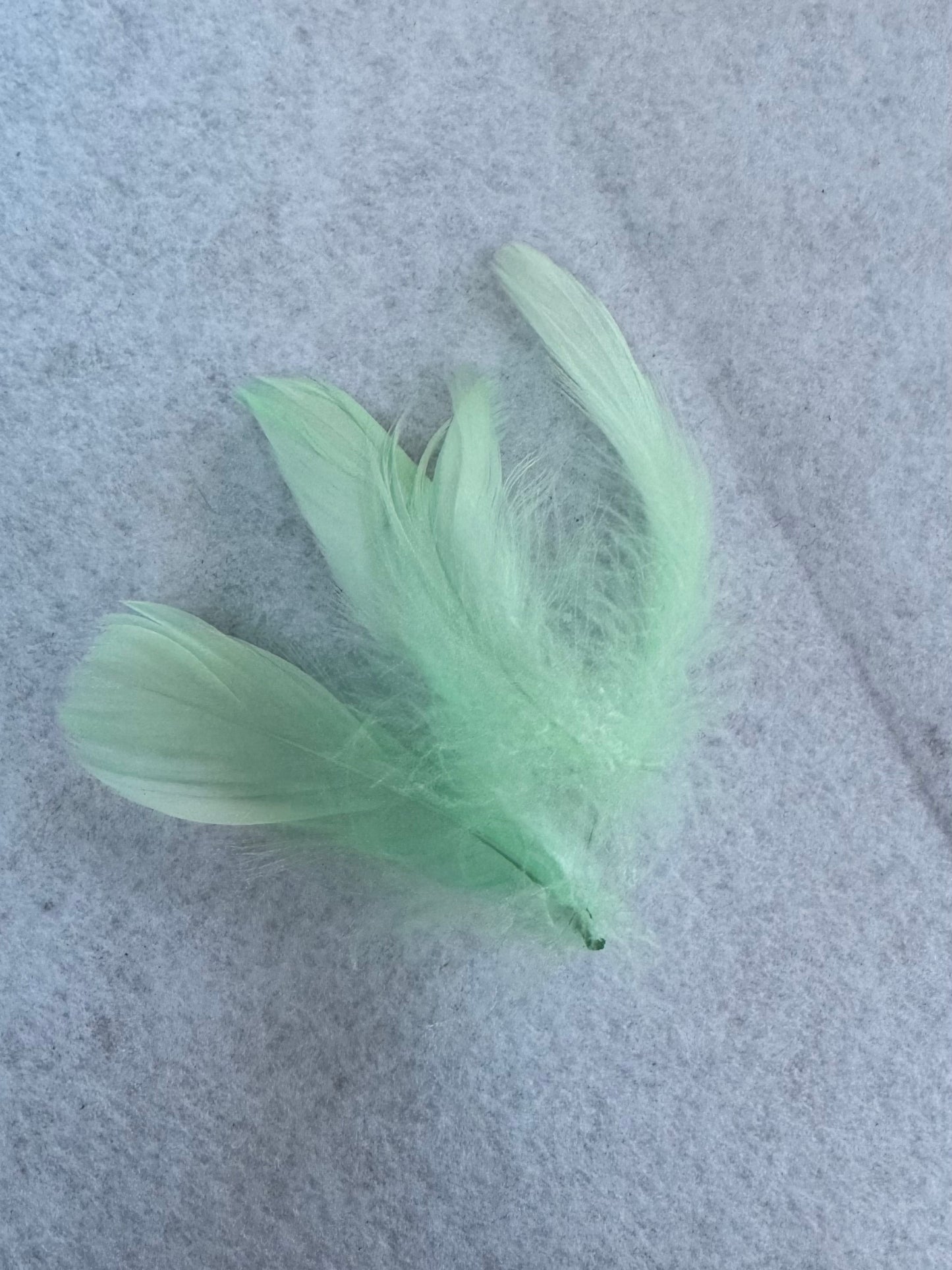 Pastel feathers 3inch