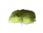 Caribou fur ( New Colours )