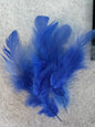 Fancy vibrant feathers