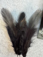 Fancy vibrant feathers