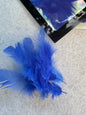 Fancy vibrant feathers