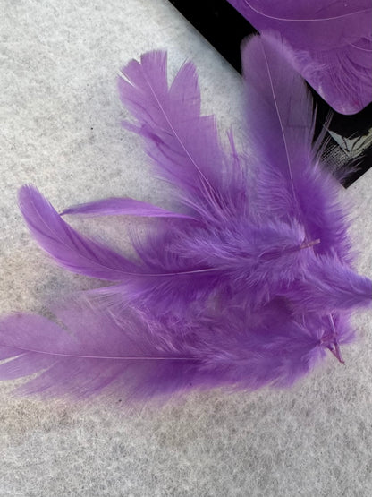 Fancy vibrant feathers