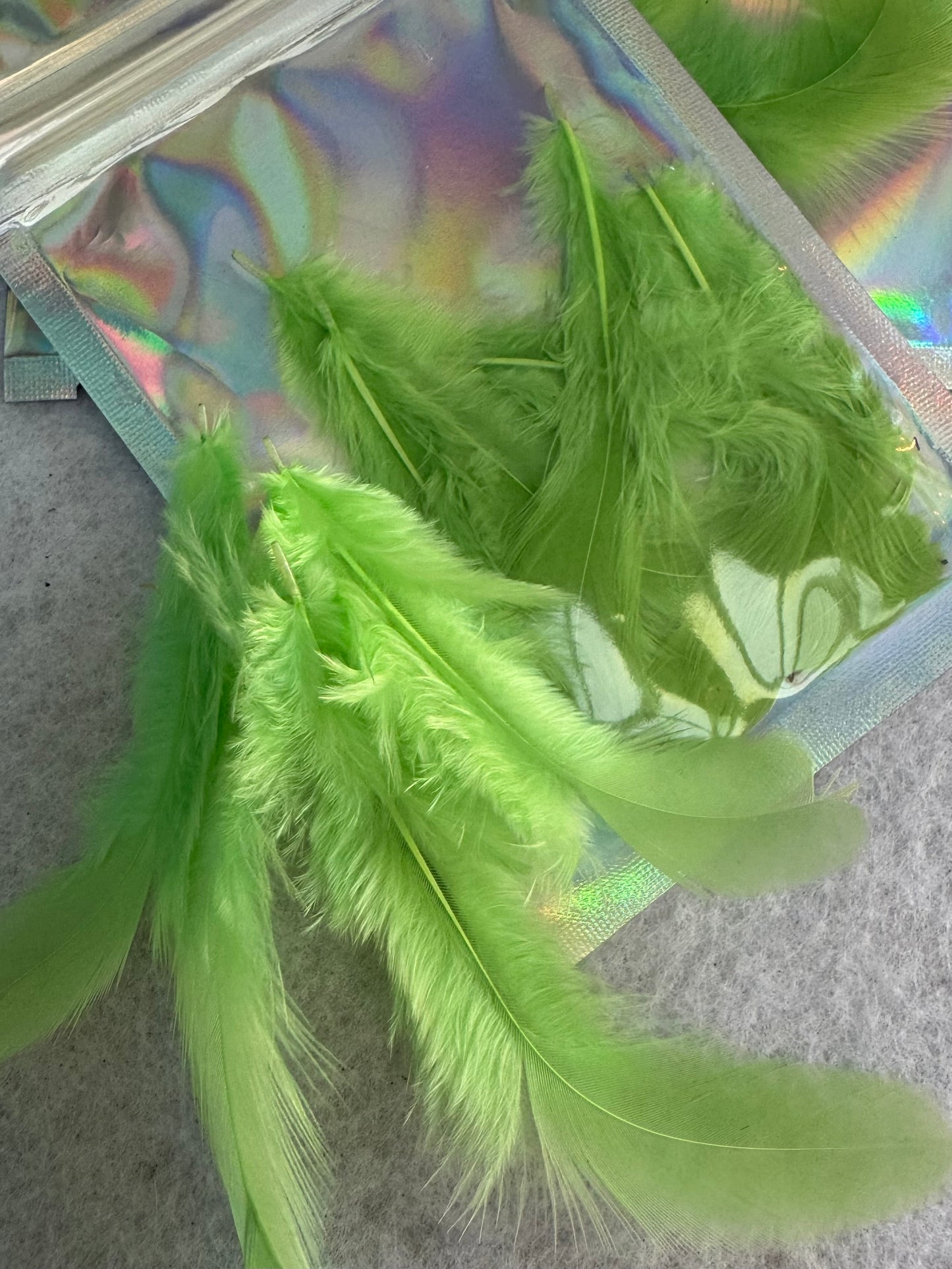 Fancy vibrant feathers