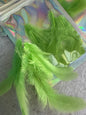 Fancy vibrant feathers