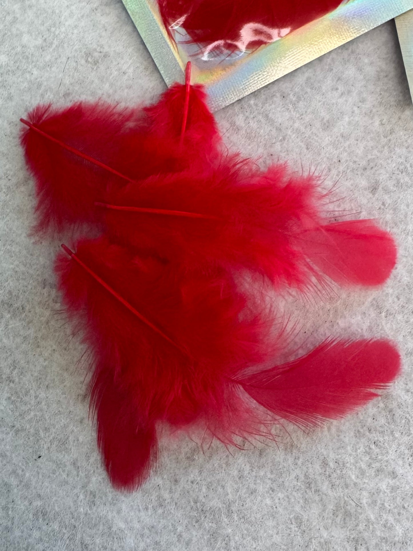 Fancy vibrant feathers