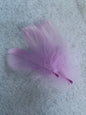 Pastel feathers 3inch