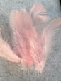 Fancy vibrant feathers