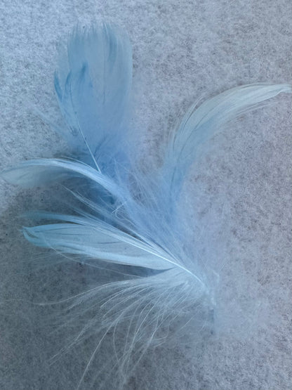 Pastel feathers 3inch