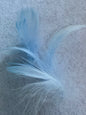 Pastel feathers 3inch