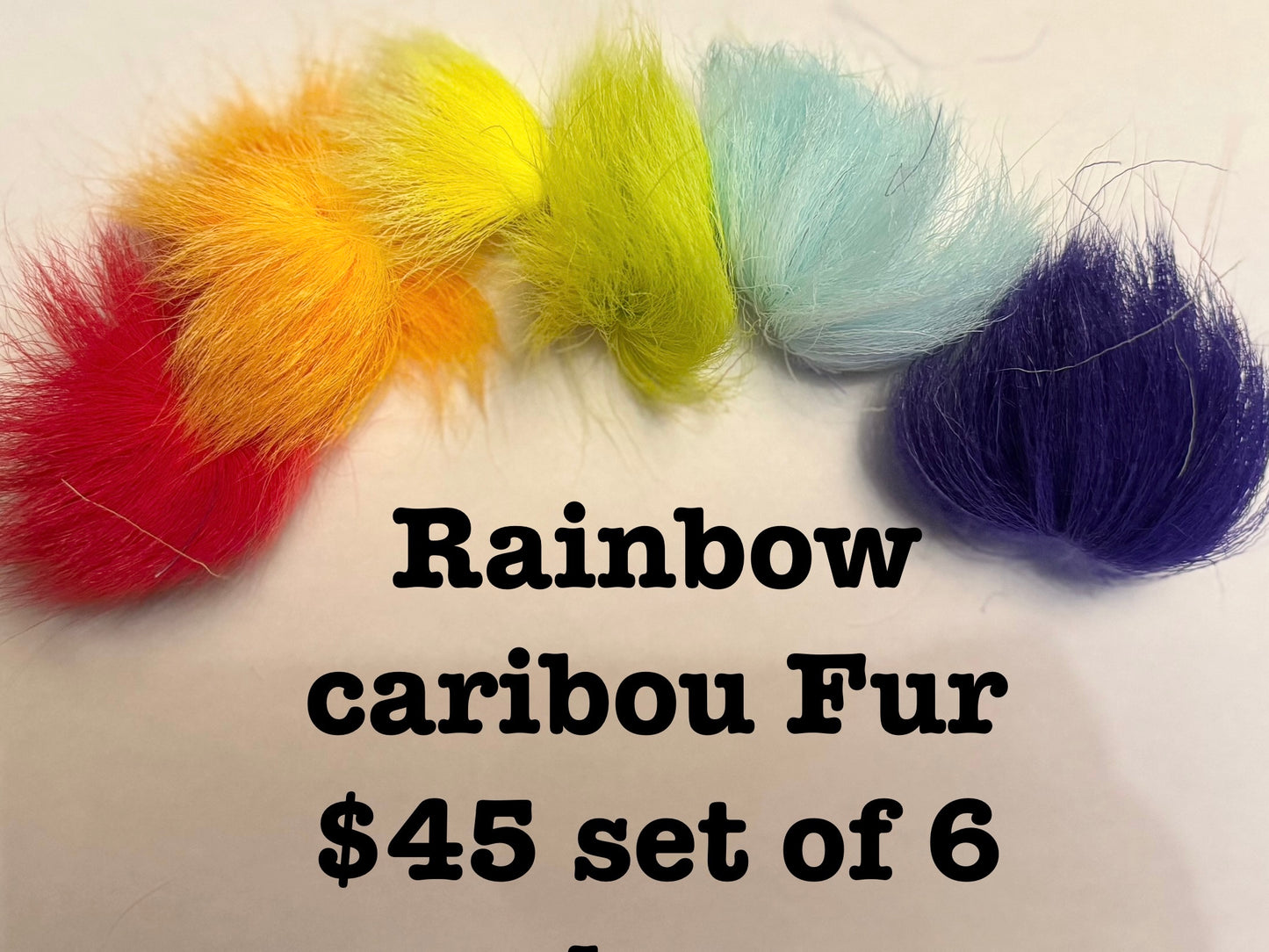 Rainbow colors of fur