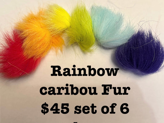 Rainbow colors of fur