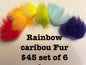 Rainbow colors of fur