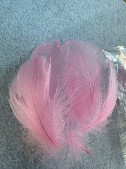 Pastel feathers 3inch
